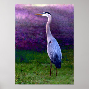 Blue Heron Collectie Poster