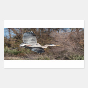 Blue Heron in vlucht Rechthoekige Sticker
