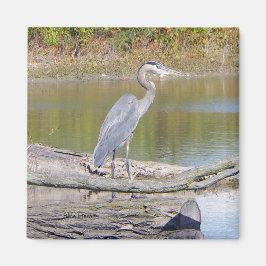Blue Heron magnet Magneet