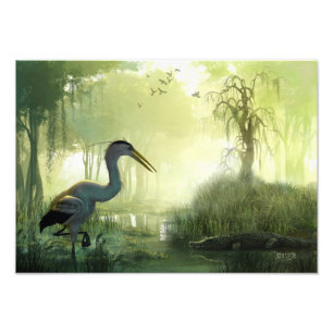 Blue Heron Morning Foto Afdruk