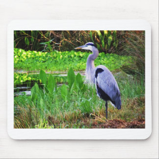 Blue Heron Muismat