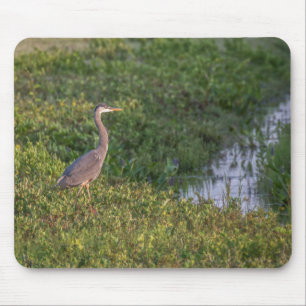 Blue Heron Muismat
