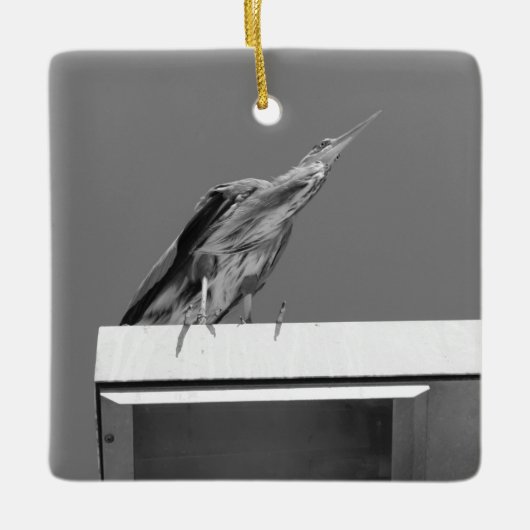 Blue Heron Ornament (Voorkant)