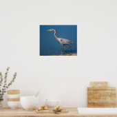 Blue Heron Wading Poster (Keuken)