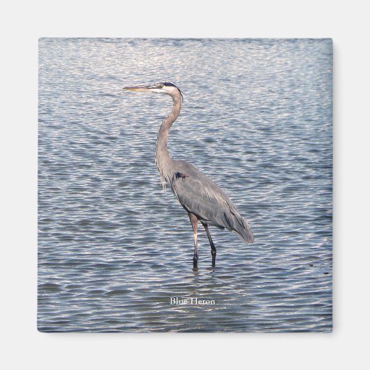 Blue Heron watermagneet Magneet (Voorkant)