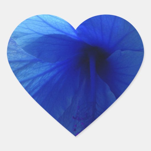 Blue Hibiscus Flower Hart Sticker (Voorkant)