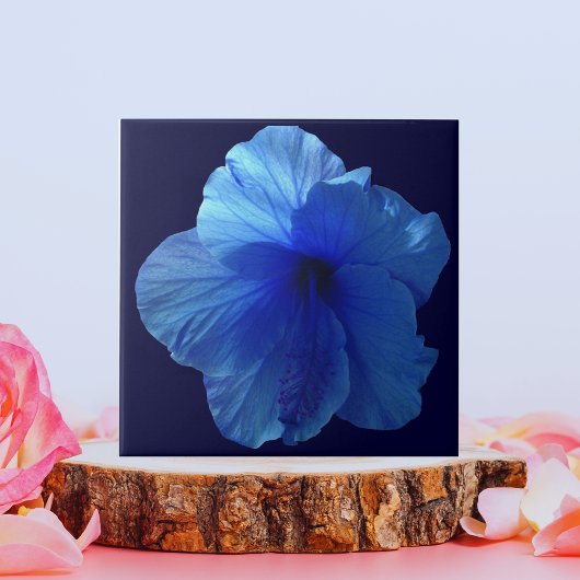 Blue Hibiscus Flower Tegeltje