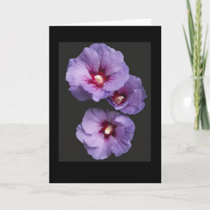 Blue Hibiscus Groeten Kaart