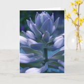 Blue Hosta "photographic"-kaart Kaart (Gele Bloem)