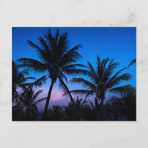 Blue Hour Bliss: Silhouet Palmboom Kaartkaart Briefkaart