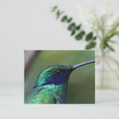 Blue Humming Bird Briefkaart (Staand voorkant)
