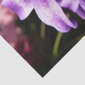 Blue Hyacinth I Spring Floral Tissuepapier (Detail)