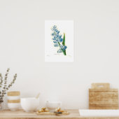 Blue Hyacinth Poster (Keuken)
