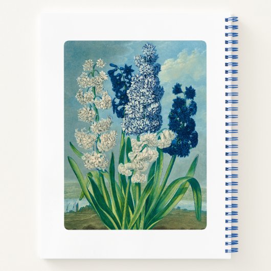 Blue Hyacinths Botanical Art Notitieboek (Achterkant)