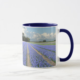 Blue Hyacinths in Field Holland Mok