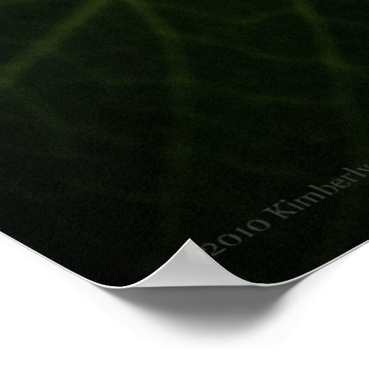 Blue Hydrangea 8514 Print (Hoek)