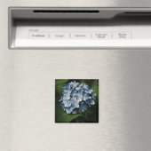 Blue Hydrangea 8515 Magnet Magneet (Insitu (Vaatwasser))