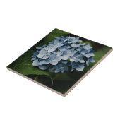 Blue Hydrangea 8515 Tegel Tegeltje (Zijkant)