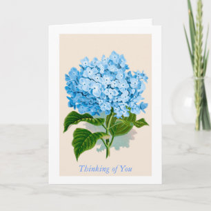 Blue Hydrangea Bloom Thinking of You Kaart