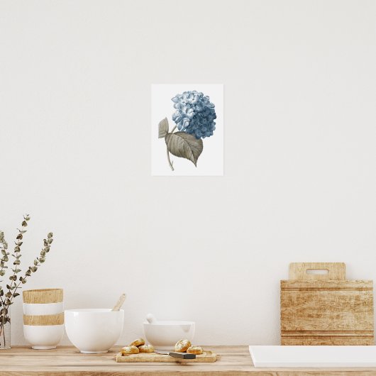 Blue Hydrangea Botanical Artwork no. 2 Poster (Keuken)