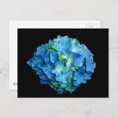 Blue Hydrangea Briefkaart (Voorkant / Achterkant)