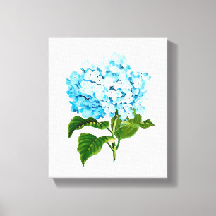 Blue Hydrangea Canvas Afdruk