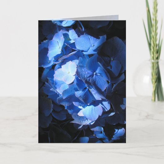 Blue Hydrangea - Carte de voeux (Devant)