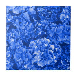 Blue Hydrangea Ceramic Tile Tegeltje