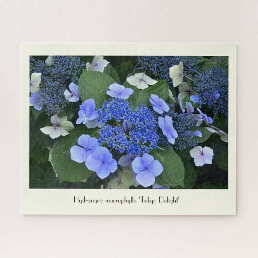 Blue Hydrangea Collectable Flower Legpuzzel (Horizontaal)