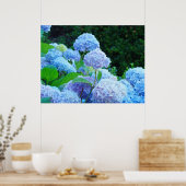 Blue Hydrangea Fleurs d'art estampe affiches (Cuisine)