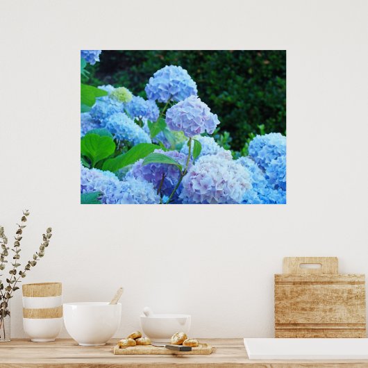 Blue Hydrangea Fleurs d'art estampe affiches (Cuisine)