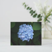 Blue Hydrangea Floral Foto Briefkaart (Staand voorkant)