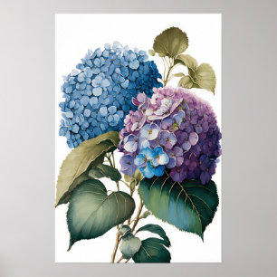 Blue Hydrangea Flowers Art Imprimer Poster