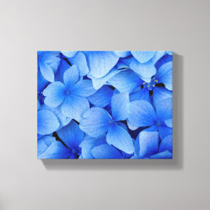 Blue Hydrangea Flowers Canvas Afdruk