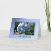 Blue Hydrangea Kaart (Voorkant)