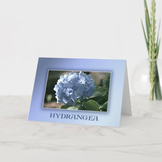 Blue Hydrangea Kaart (Voorkant)