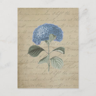  Blue Hydrangea met Antiek kalligrafie Briefkaart