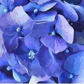 BLUE HYDRANGEA PICKLEBALL PADDLE
