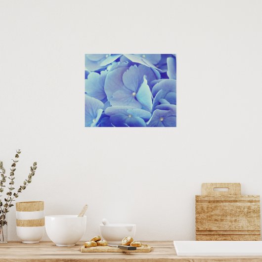 Blue Hydrangea Poster (Keuken)