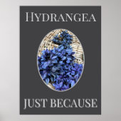 BLUE Hydrangea Poster (Voorkant)