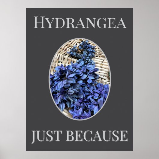 BLUE Hydrangea Poster (Voorkant)