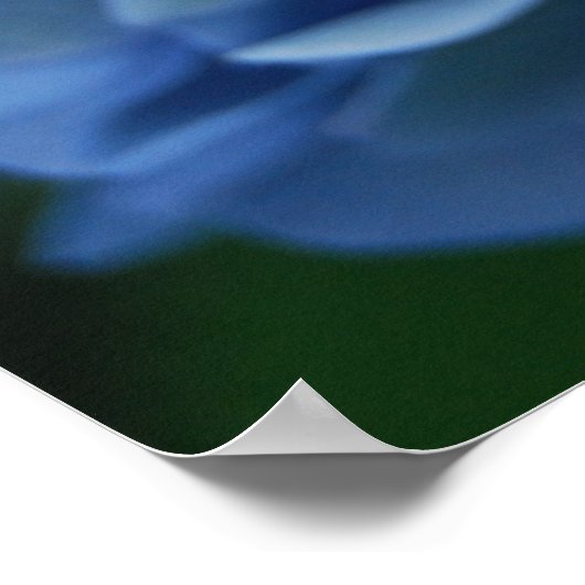 Blue Hydrangea Poster (Hoek)