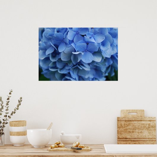 Blue Hydrangea Poster (Keuken)