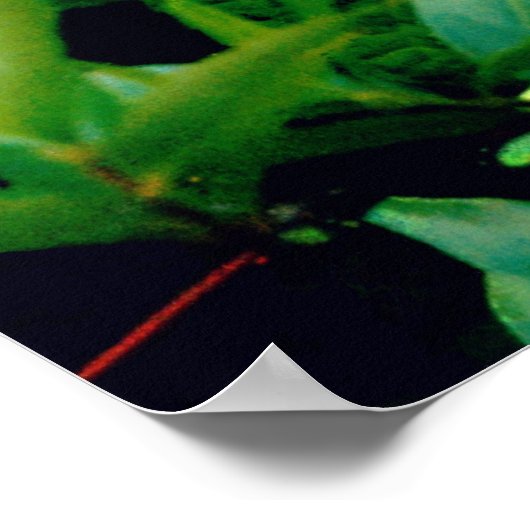 Blue Hydrangea Poster (Hoek)