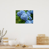 Blue Hydrangea Poster (Keuken)
