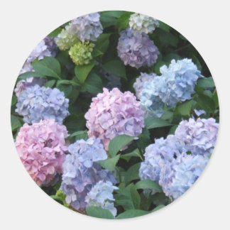 Blue Hydrangea Ronde Sticker