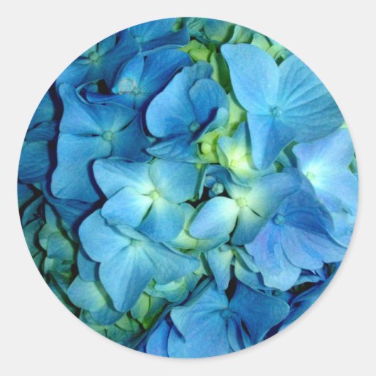 Blue Hydrangea Ronde Sticker (Voorkant)