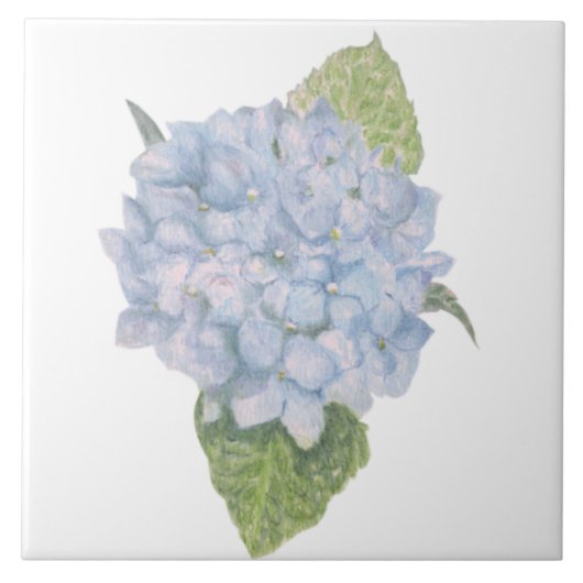 Blue Hydrangea Tegeltje (Voorkant)