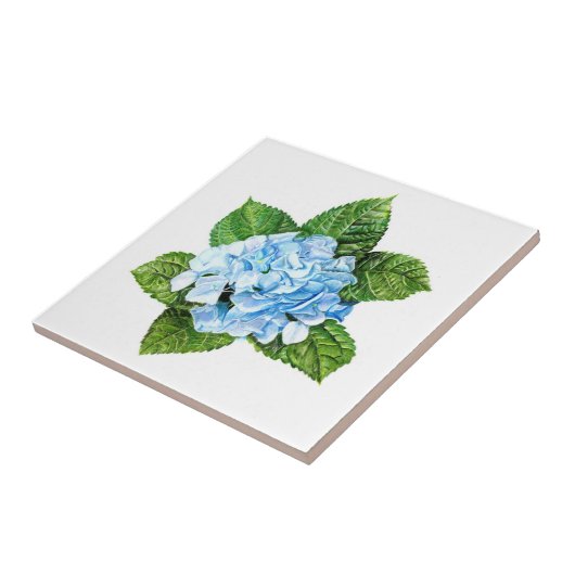 Blue Hydrangea Tegeltje (Zijkant)