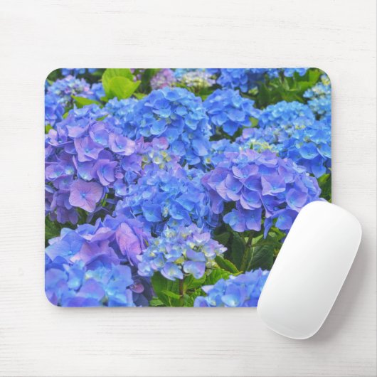 Blue Hydrangea Tuin Bloemen Bloemen Bloemen Bloeme Muismat (Met muis)